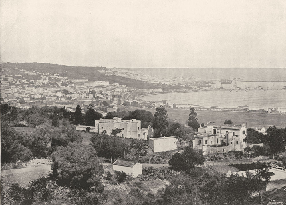 ALGERIA. Algiers- Panoramic view taken from Mustafa 1895 old antique print